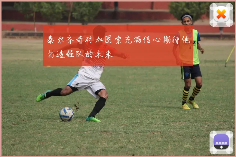 泰尔齐奇对加图索充满信心期待他打造强队的未来
