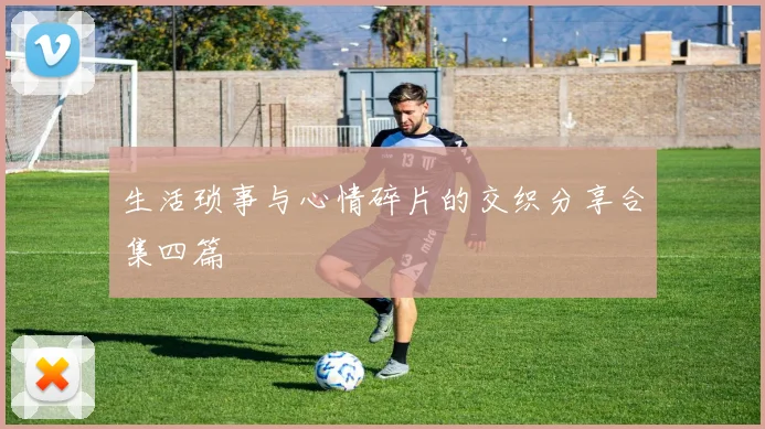 生活琐事与心情碎片的交织分享合集四篇