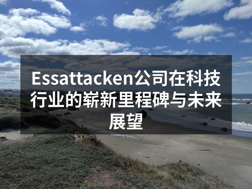 Essattacken公司年度战略会议现场