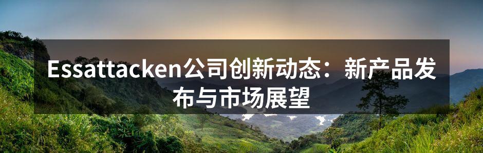 Essattacken新款智能手机发布会现场